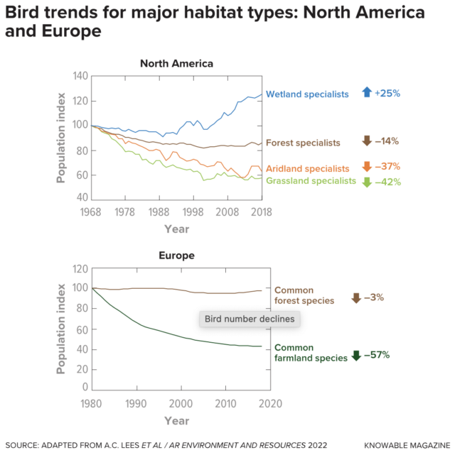 Bird numbers are falling across a broad range of habitats, as these graphs from Europe and North America show. Birds that live in grassland, farmland, and aridland are especially affected.